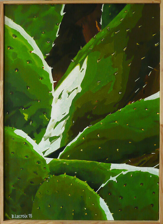Cactus